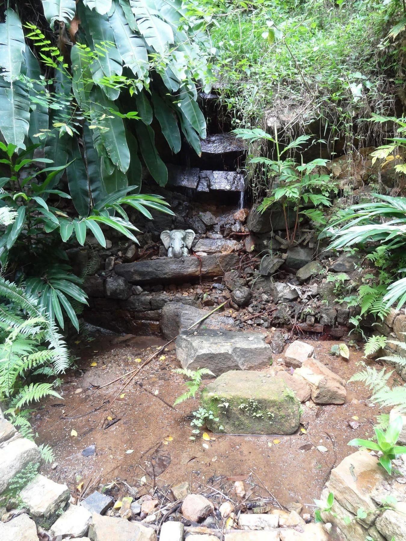 Strathisla Tea Estate Bungalow Matale Buitenkant foto