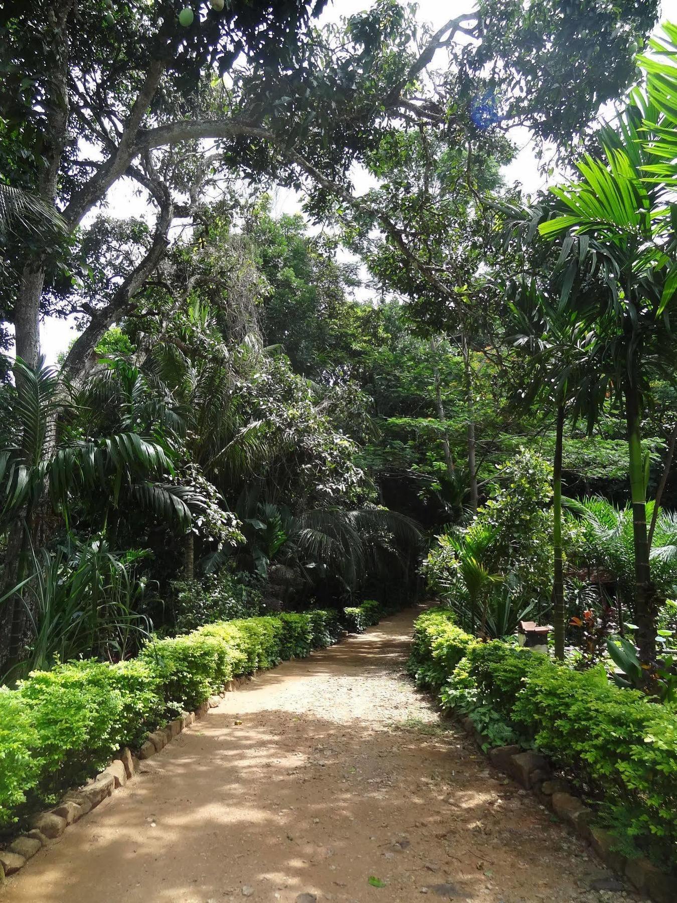 Strathisla Tea Estate Bungalow Matale Buitenkant foto
