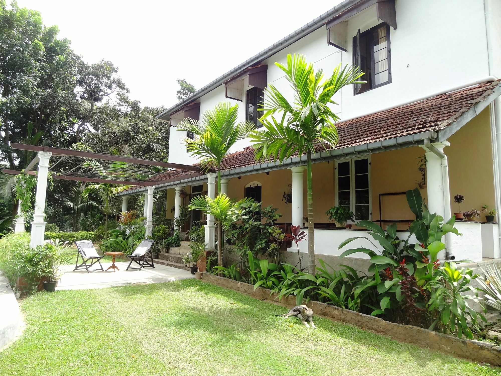 Strathisla Tea Estate Bungalow Matale Buitenkant foto